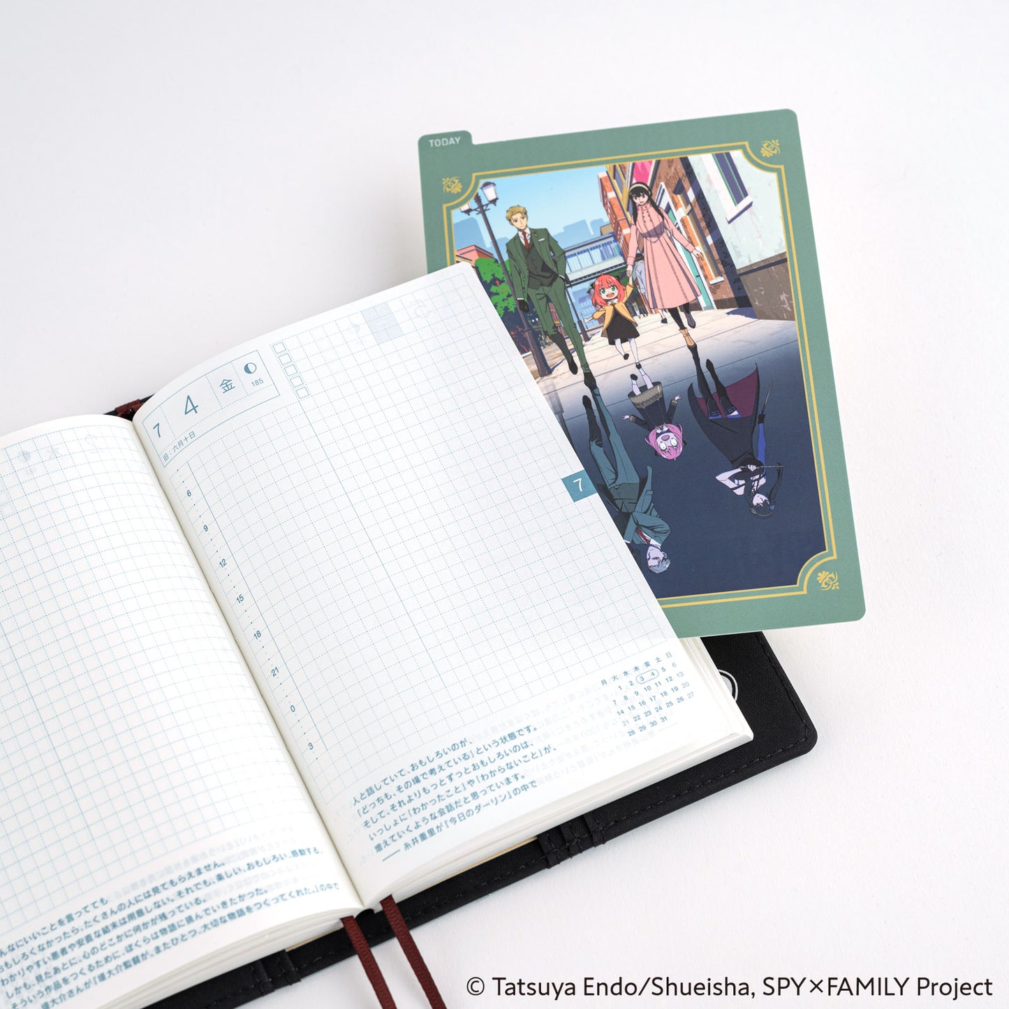 Hobonichi Accessories Pencil Board: SPY x FAMILY Group 1