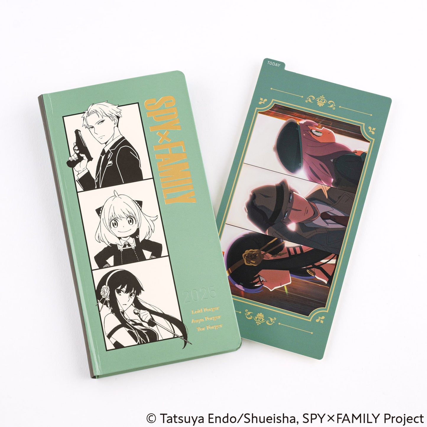 Hobonichi Accessories Pencil Board: SPY x FAMILY Group 1