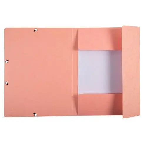 Exacompta A4 Folder with Elastics