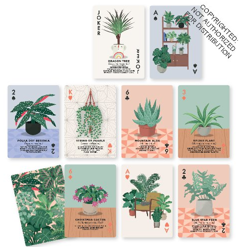 House Plants 54 Cards