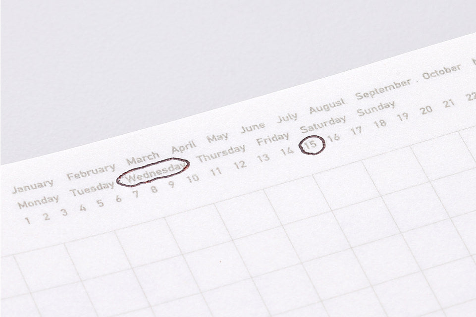 Stalogy 1/2 Year Notebook B6 Landscape Grid