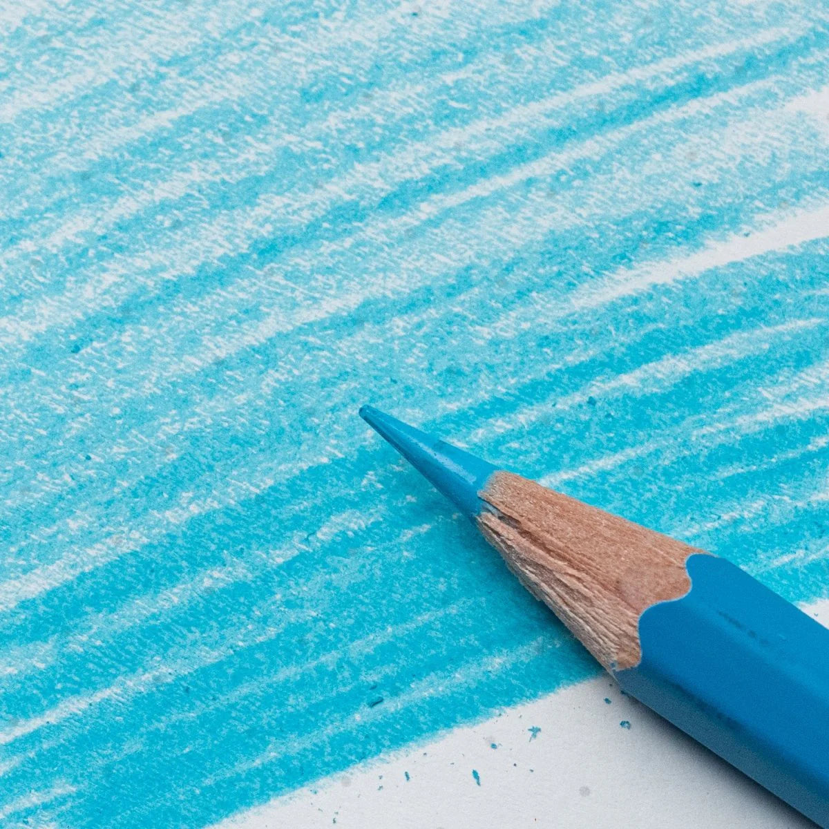 Blackwing Blue Pencil (set of 4)