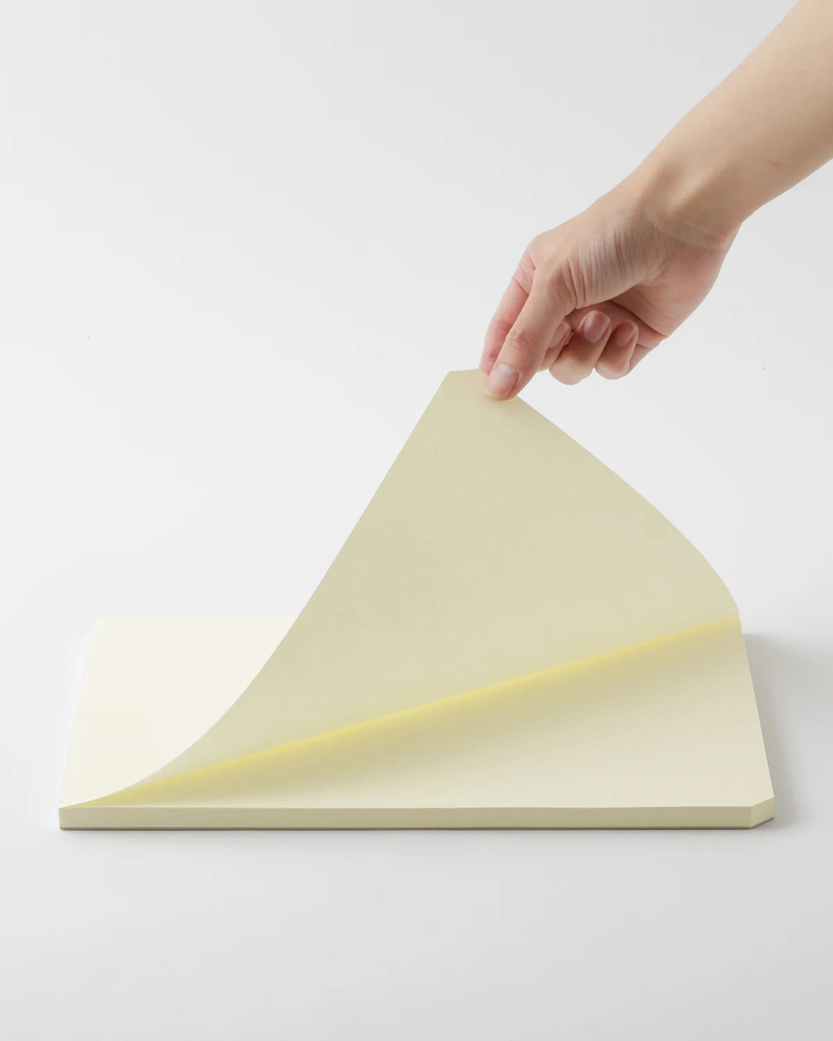 Midori MD Paper Pad A4 Blank