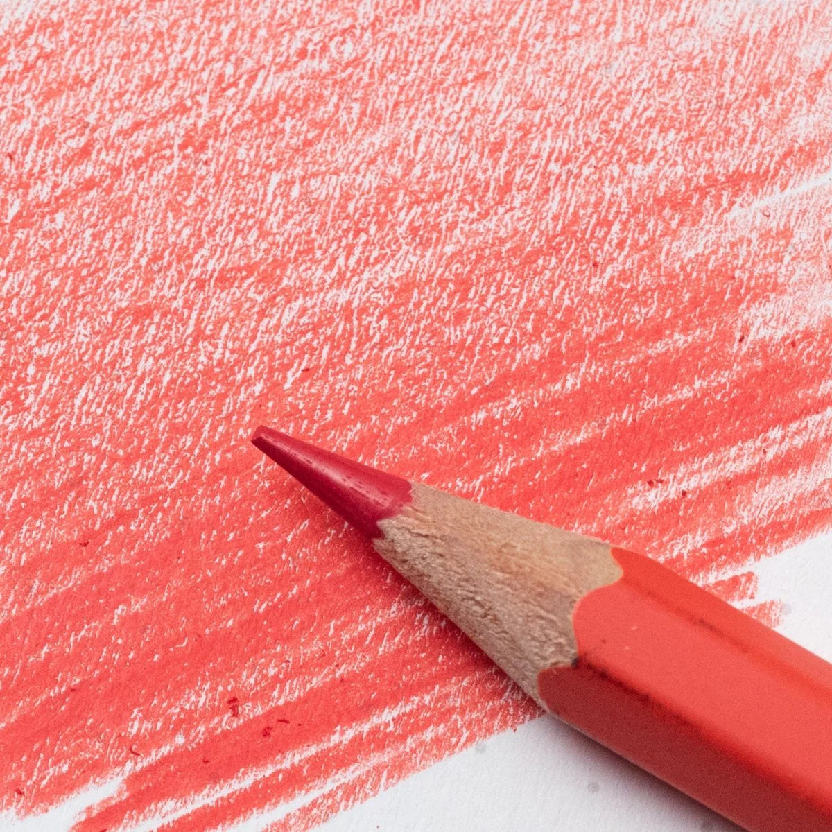 Blackwing Red Pencil (set of 6)