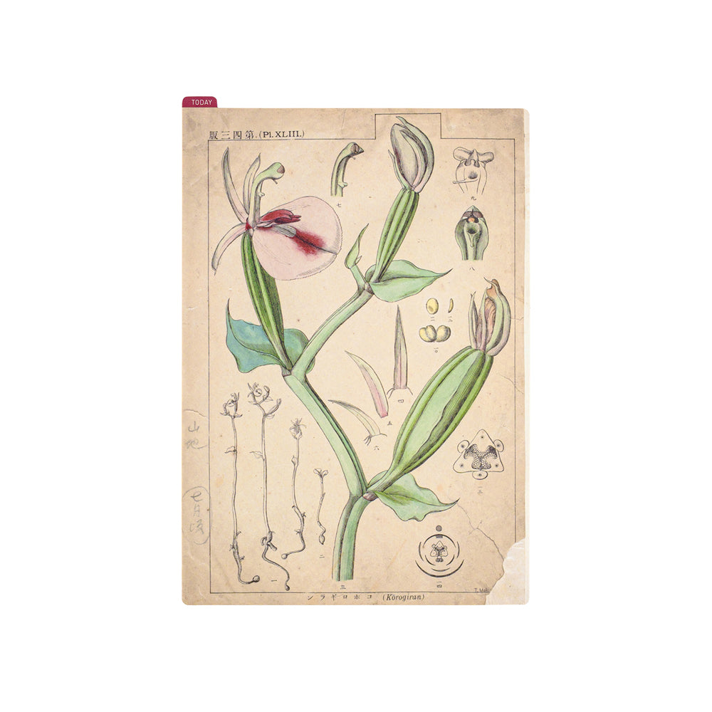 Hobonichi Accessories Pencil Boards