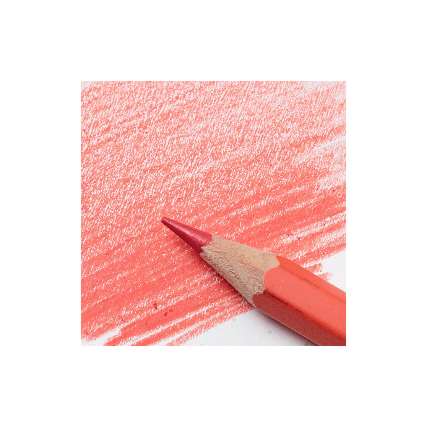 Blackwing Red Pencil (set of 4)