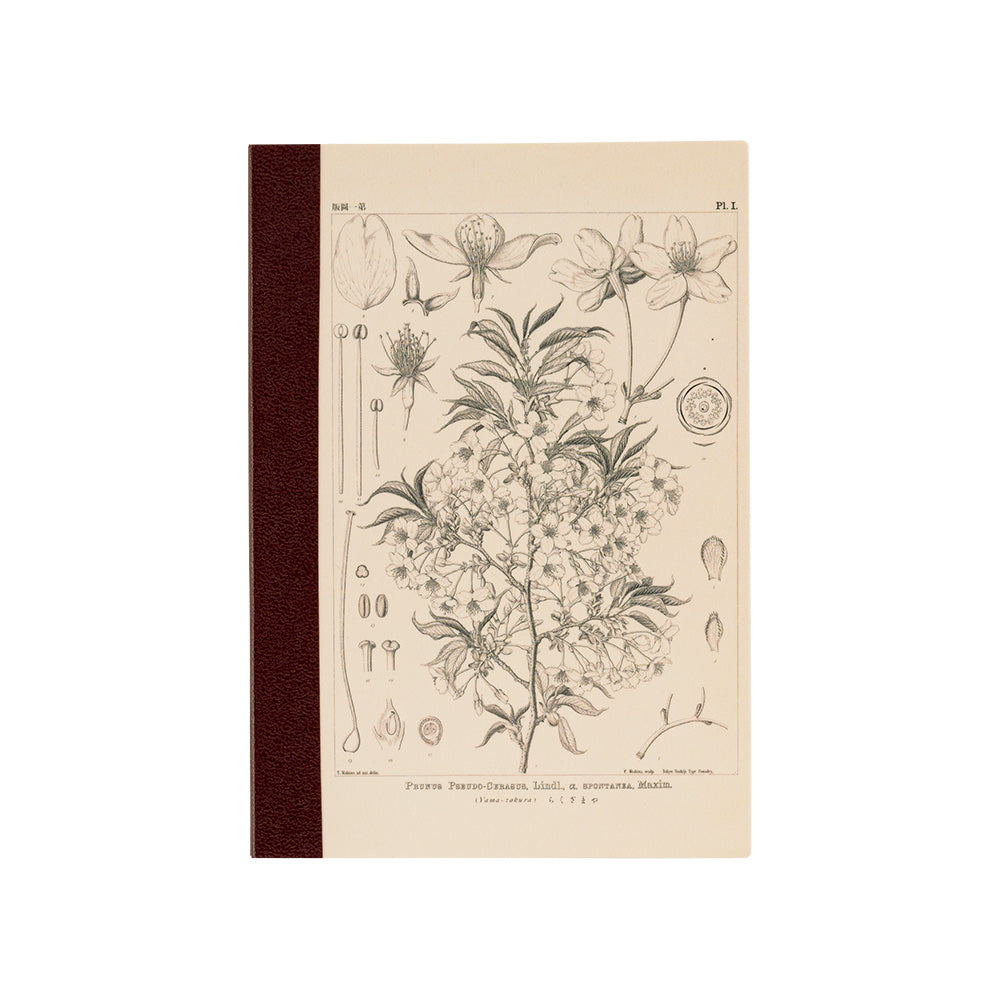Hobonichi Notebook A6 Graph Tomoe River Paper - Yamazakura