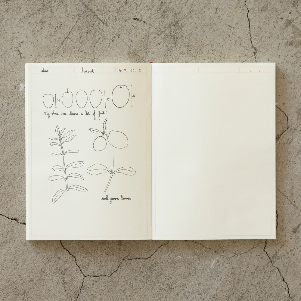 Midori MD Notebook Journal A5