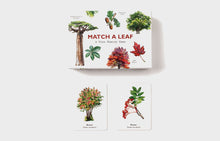 Load image into Gallery viewer, Match a Leaf
