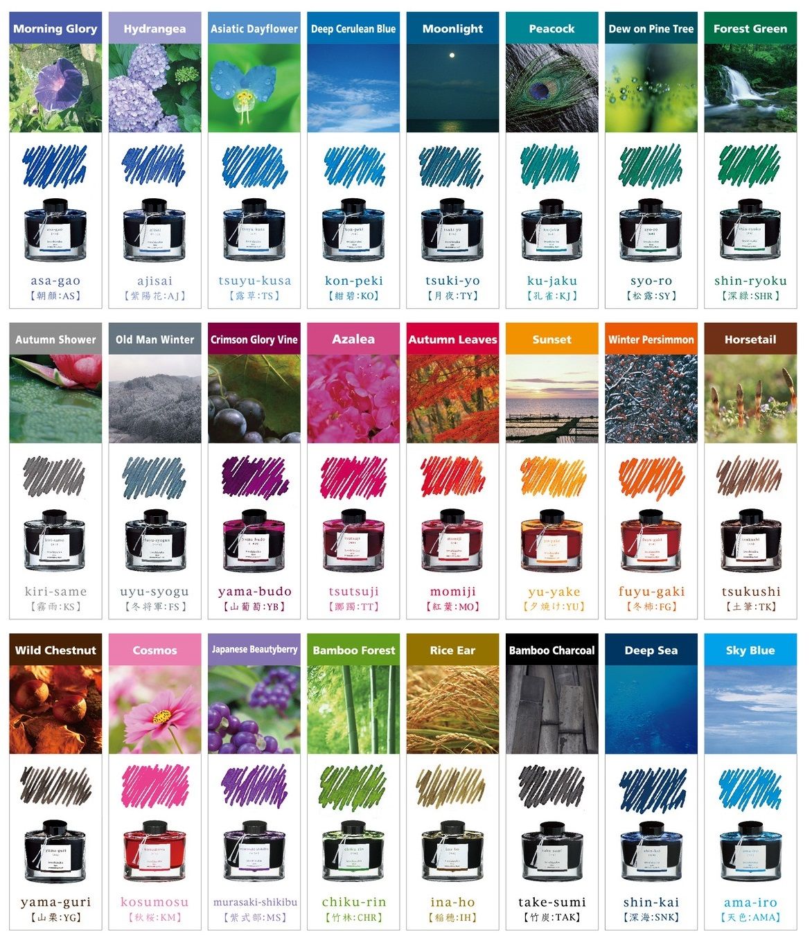 Pilot Iroshizuku Fountain Pen Inks 50ml – Take Note Pens