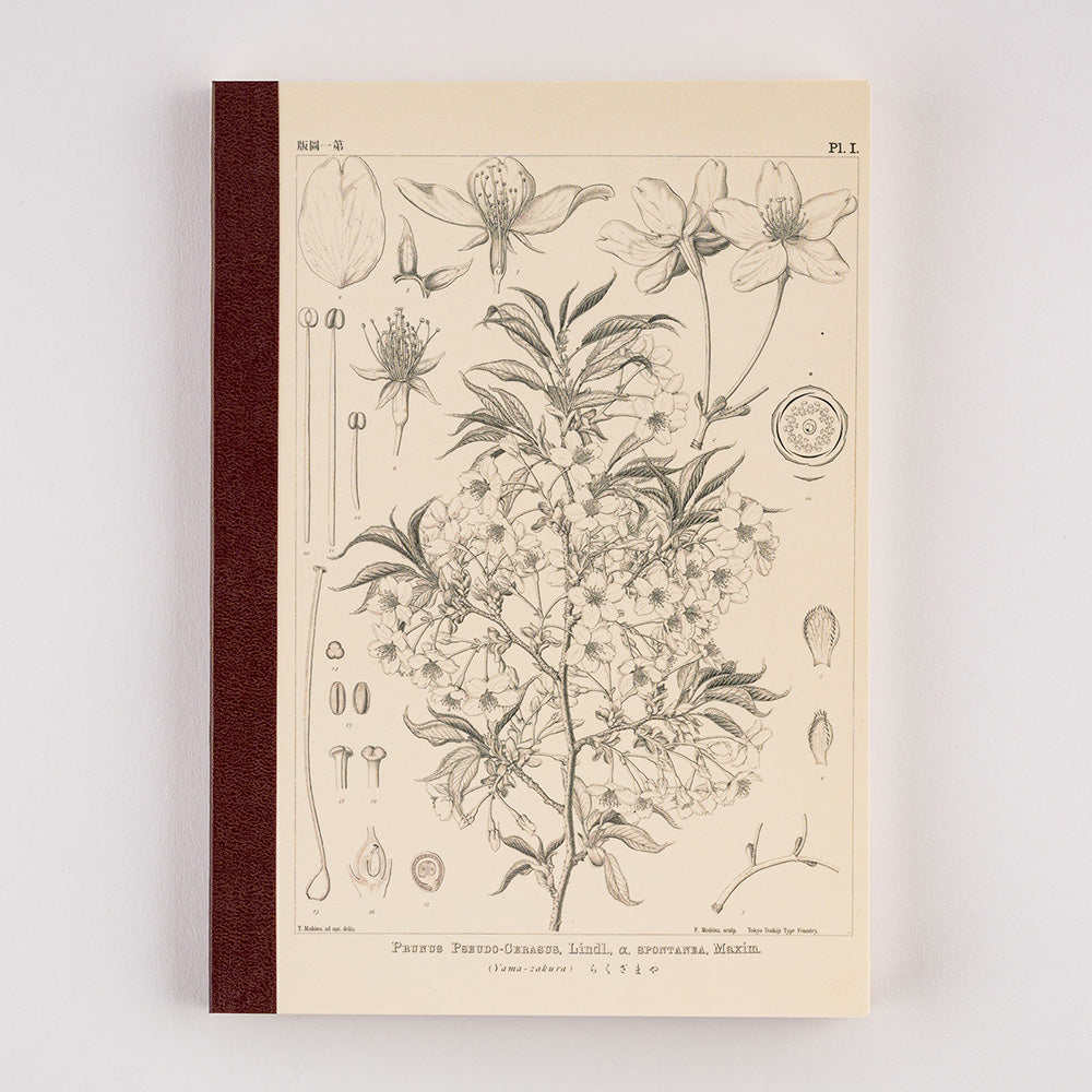 Hobonichi Notebook A5 Graph Tomoe River Paper - Yamazakura