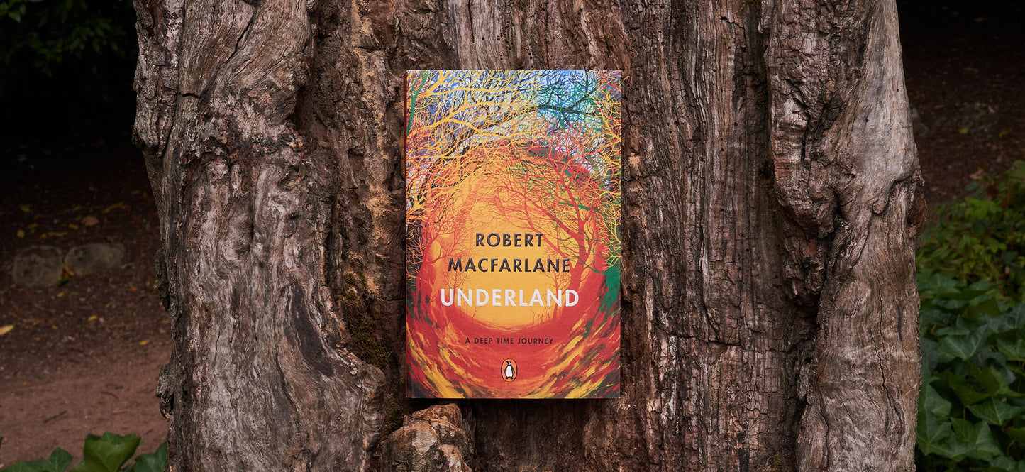 Field Notes Underland, 3-pack