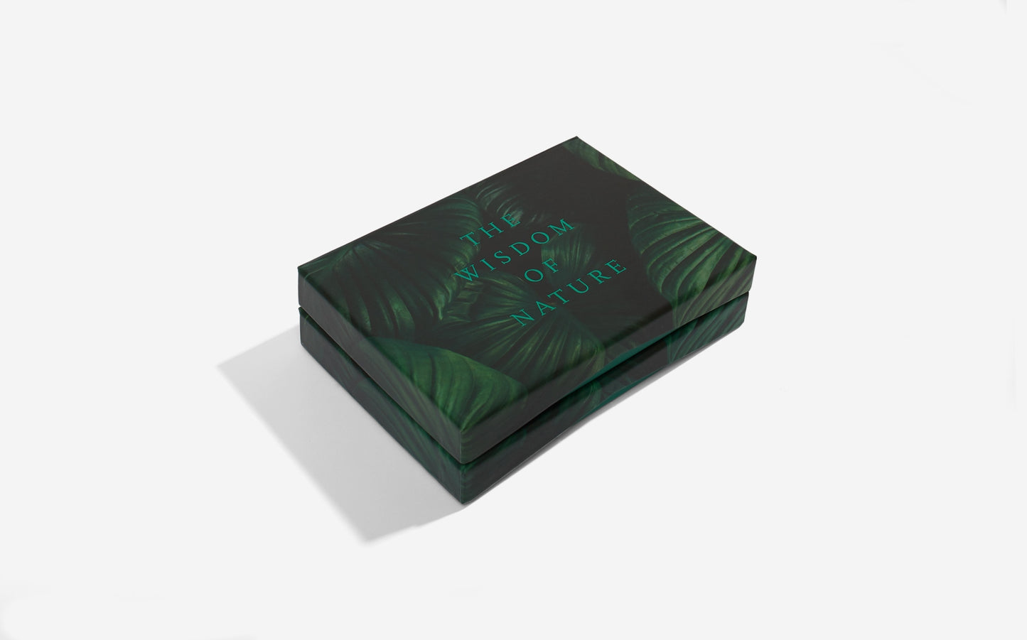 The Wonder of Nature Card Set