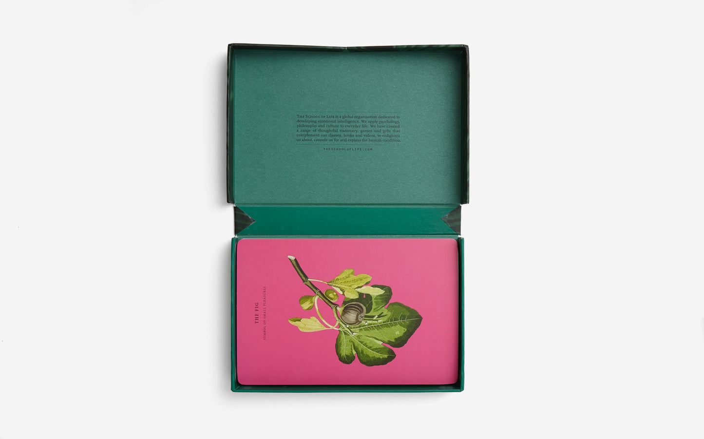 The Wonder of Nature Card Set