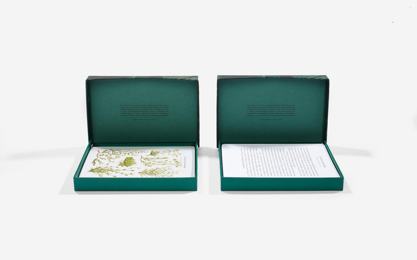 The Wonder of Nature Card Set
