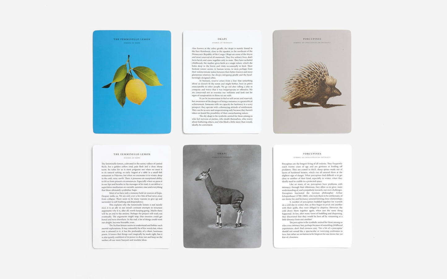 The Wonder of Nature Card Set