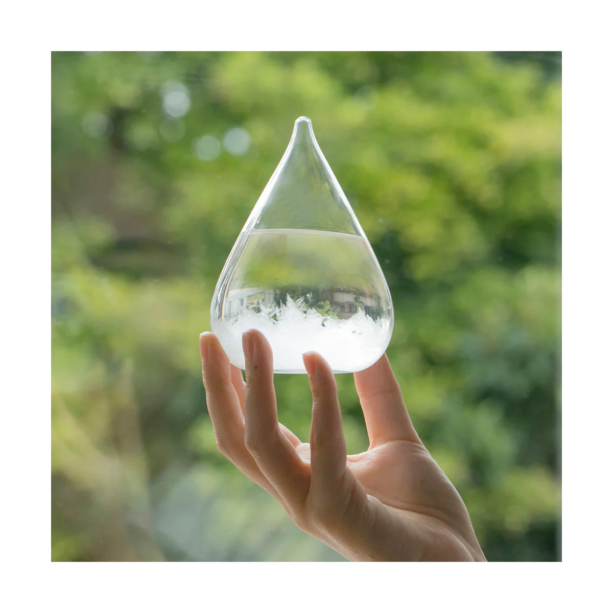 100Percent Tempo Drop Storm Glass Weather Forecaster