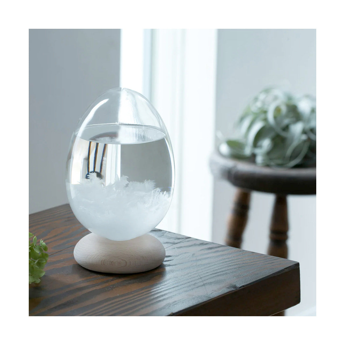 100Percent Tempo Drop Storm Glass Weather Forecaster