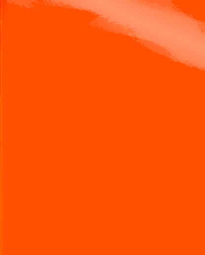 Nuuna Notebook Candy S Neon Orange A6