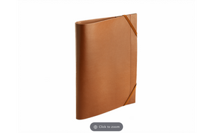 Caran D’Ache Leather Holder A4 Camel