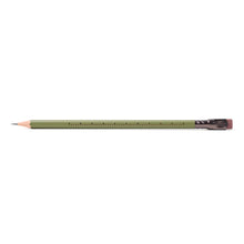 Load image into Gallery viewer, Blackwing Volume 17 Gardening Pencil Box of 12
