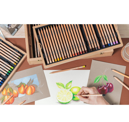 Caran D’Ache Colour Pencils Luminance 6901 Box of 100 - 2025 Edition