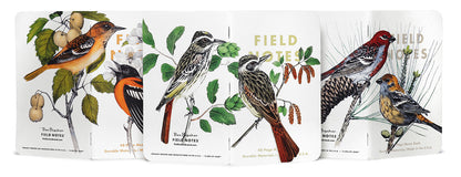 Field Notes Memo Books: Birds and Trees of North Ameica: Pack B - Grosbeak (3)