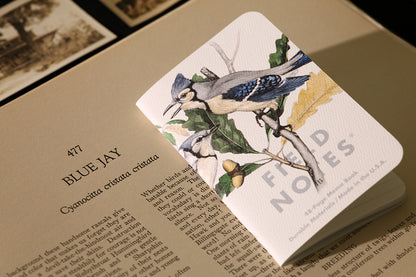 Field Notes Memo Books: Birds and Trees of North Ameica: Pack A - Owl (3)