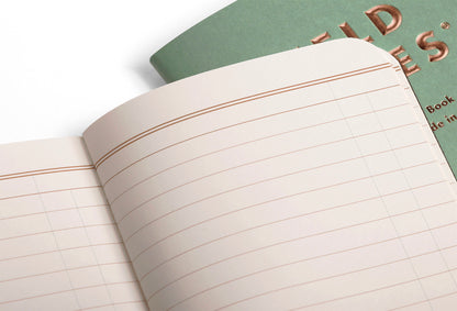 Field Notes Lucky Set of 3