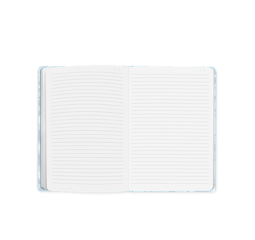 Caran d'Ache Alpine Frost Special Edition Notebook A5 Lined