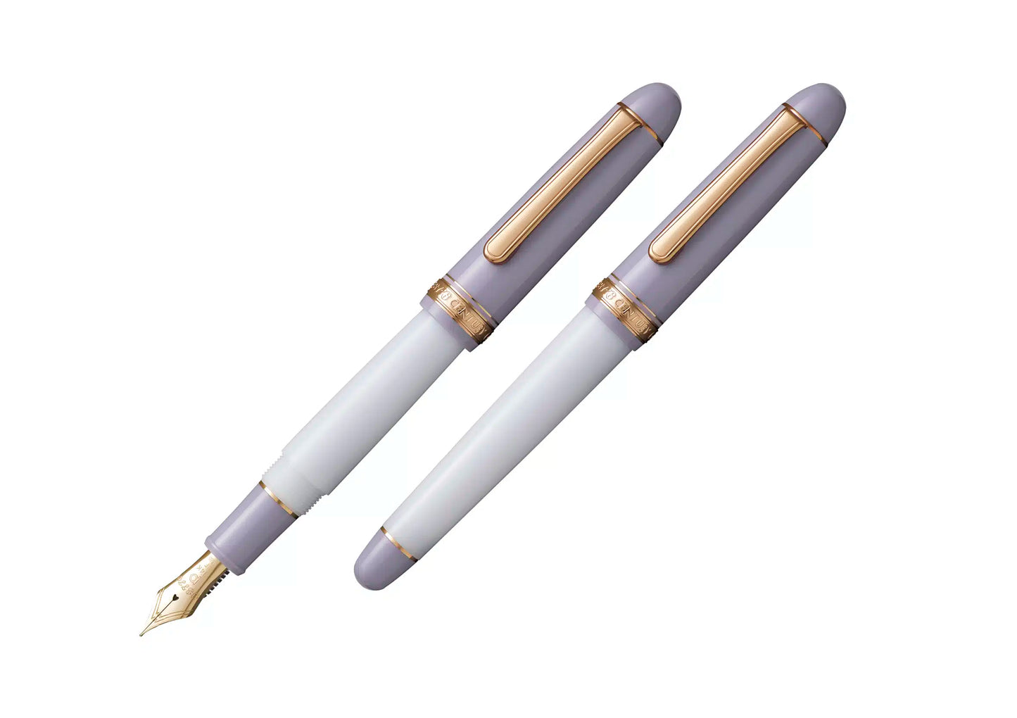 Platinum Century 3776 Fountain Pen My Favourite Things Misty Bloom w/Ink Set 14K F