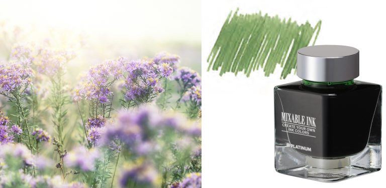 Platinum Century 3776 Fountain Pen My Favourite Things Misty Bloom w/Ink Set 14K F