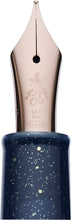 Load image into Gallery viewer, Sailor Fountain Pen Pro Gear Dried Flower Hydrengea 14K M

