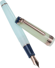 Load image into Gallery viewer, Sailor Fountain Pen Pro Gear Dried Flower Hydrengea 14K M
