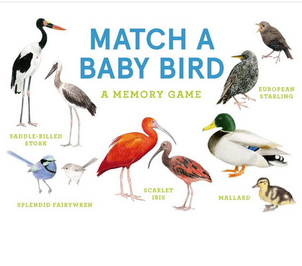 Match a Baby Bird Memory Game