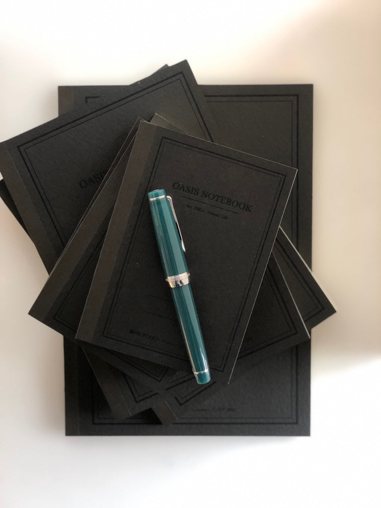 Sailor Fountain Pen Pro Gear Slim Shikiori Sansui 14K MF