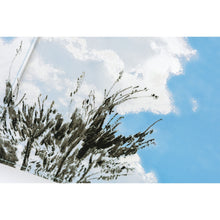 Load image into Gallery viewer, Hobonichi A5 Cover Kyohei Sakaguchi: Field Sky
