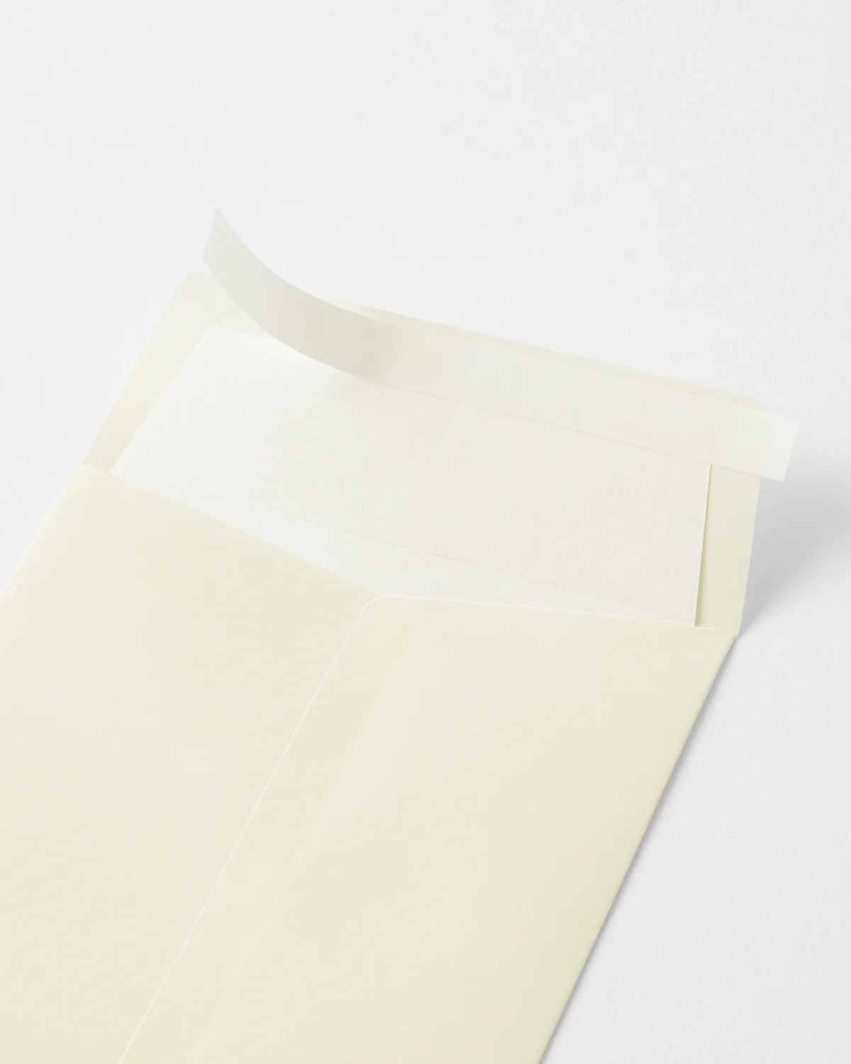 Midori MD Envelope Portrait