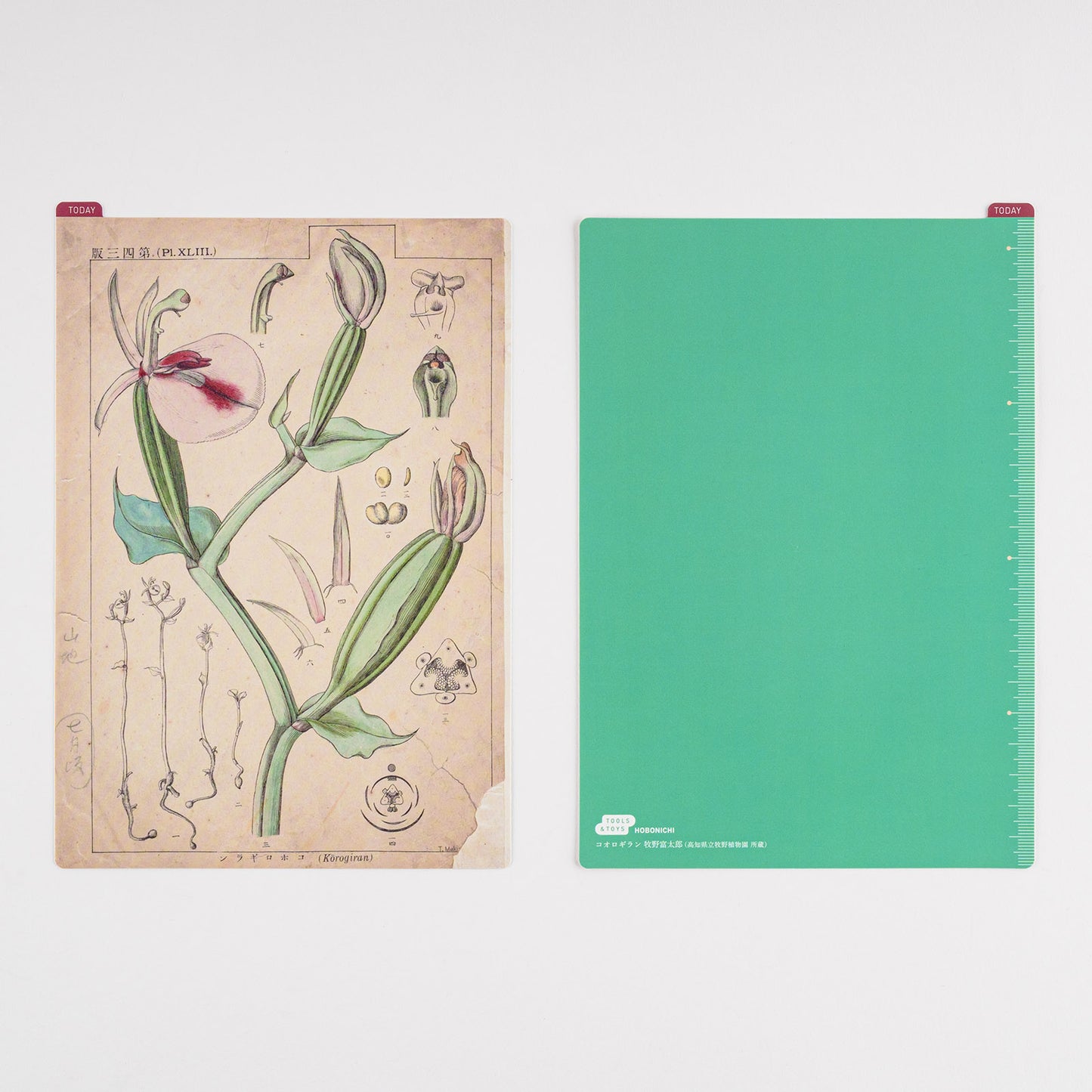 Hobonichi Accessories Pencil Boards