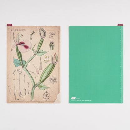 Hobonichi Accessories Pencil Boards