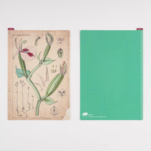 Load image into Gallery viewer, Hobonichi 2024 Accessories Pencil Boards
