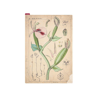 Hobonichi Accessories Pencil Boards