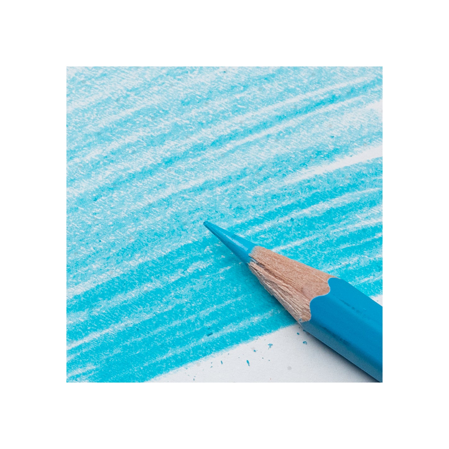 Blackwing Blue Pencil (set of 4)