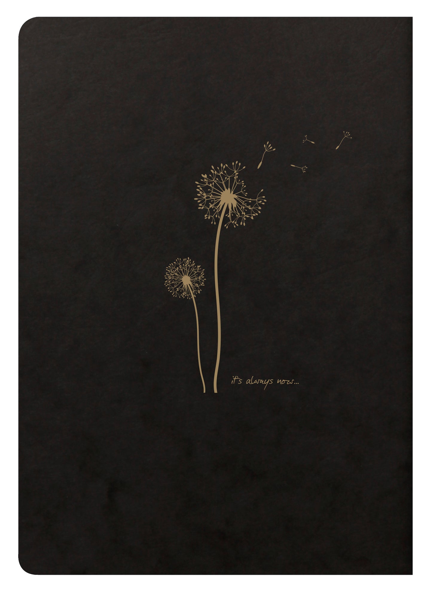 Clairefontaine Flying Spirit Notebook A5 Lined Black