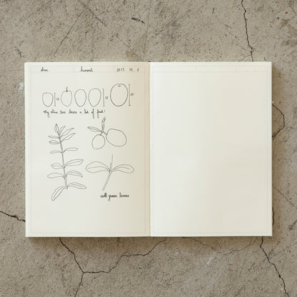 Midori MD Notebook Journal A5
