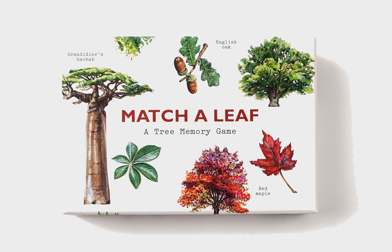 Match a Leaf