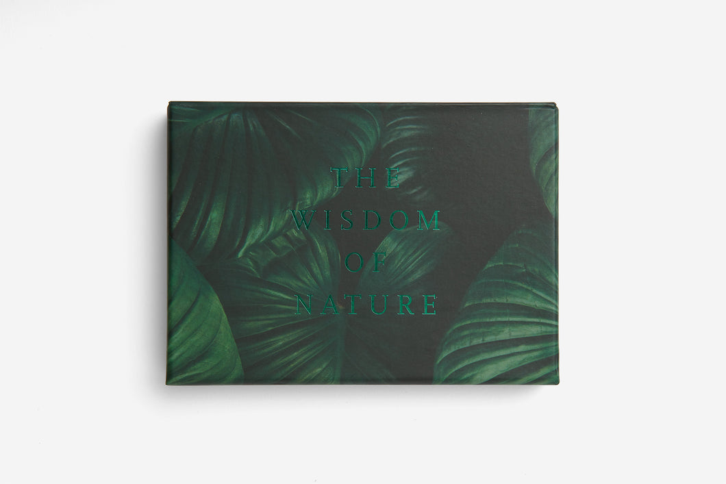 The Wonder of Nature Card Set