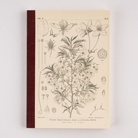 Hobonichi Notebook A5 Graph Tomoe River Paper - Yamazakura