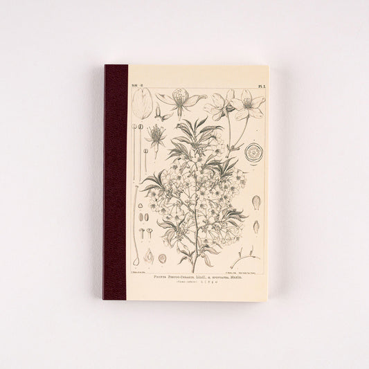Hobonichi Notebook A6 Graph Tomoe River Paper - Yamazakura