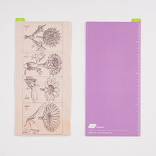 Load image into Gallery viewer, Tomitaro Makino: Hobonichi Pencil Board for A6 Size (Tomitaro Makino)

